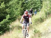 Singles Tracks entre alpages et for&ecirc;ts en Savoie